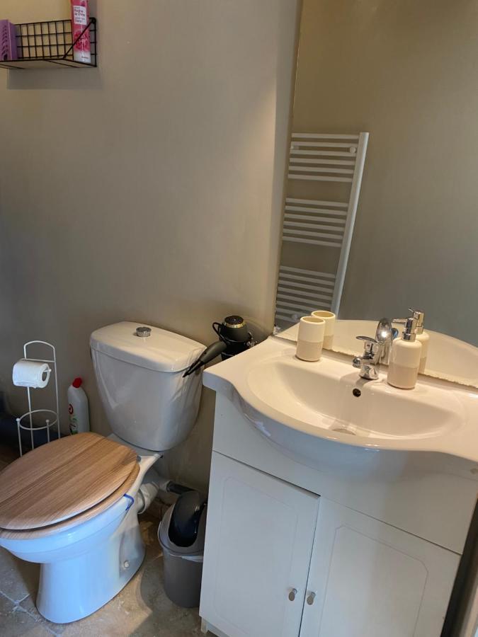 Studio De Charme Le Clos De L'Etang + Place De Parking LʼIsle-sur-la-Sorgue Екстериор снимка